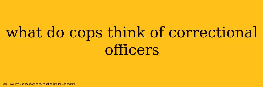 what do cops think of correctional officers