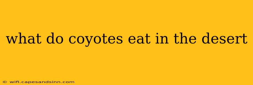 what do coyotes eat in the desert