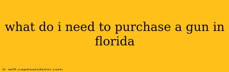 what do i need to purchase a gun in florida