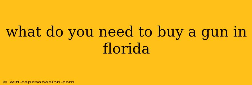 what do you need to buy a gun in florida