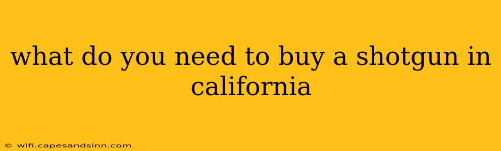 what do you need to buy a shotgun in california