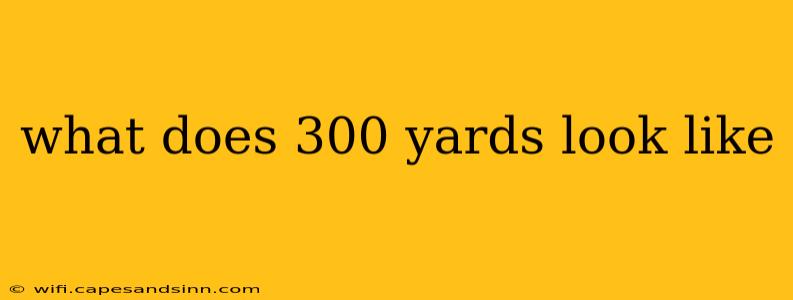 what does 300 yards look like