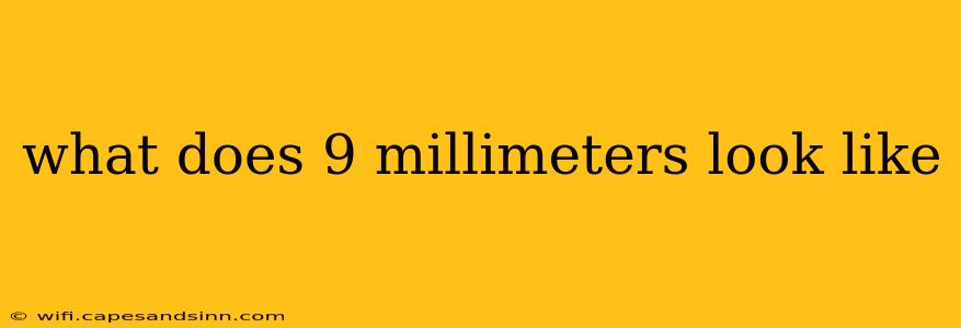 what does 9 millimeters look like