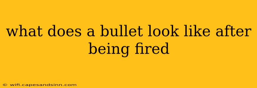 what does a bullet look like after being fired