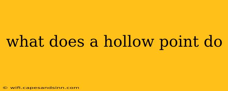 what does a hollow point do