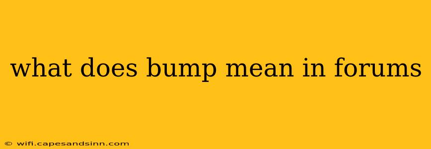 what does bump mean in forums