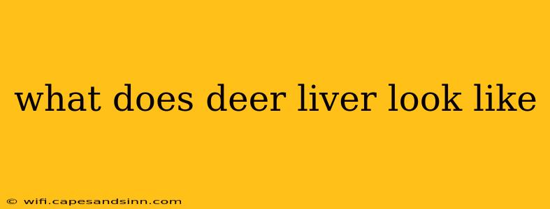 what does deer liver look like