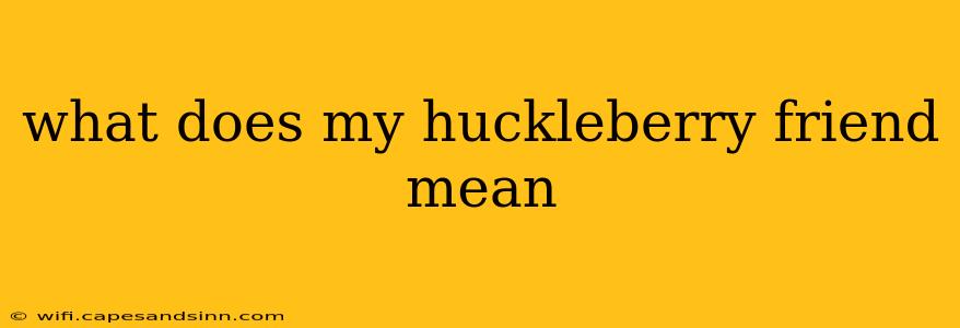 what does my huckleberry friend mean