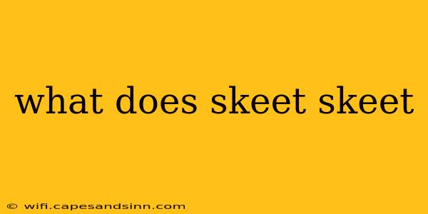 what does skeet skeet