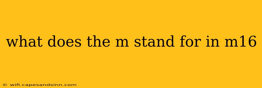 what does the m stand for in m16