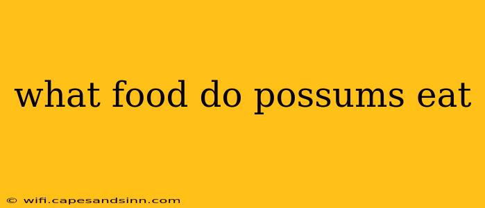 what food do possums eat