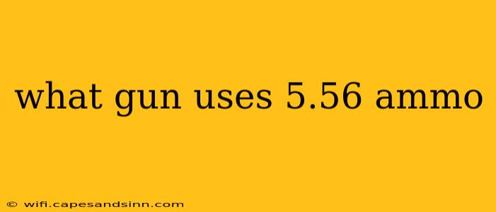 what gun uses 5.56 ammo