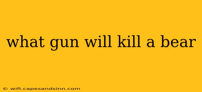 what gun will kill a bear