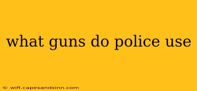 what guns do police use