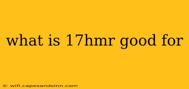 what is 17hmr good for