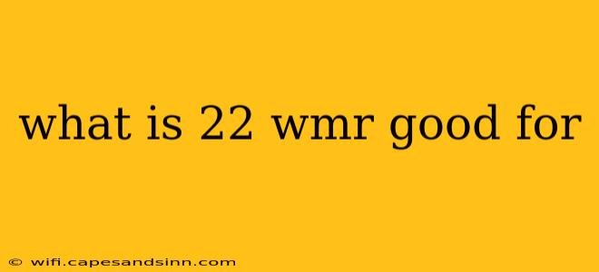 what is 22 wmr good for