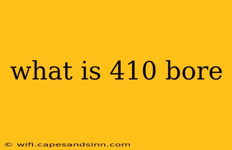 what is 410 bore