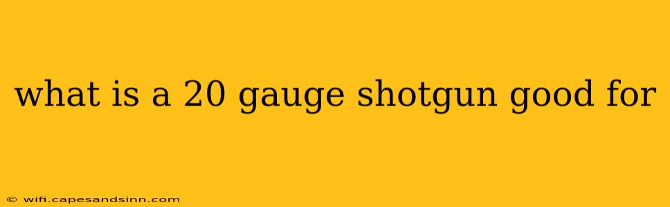 what is a 20 gauge shotgun good for