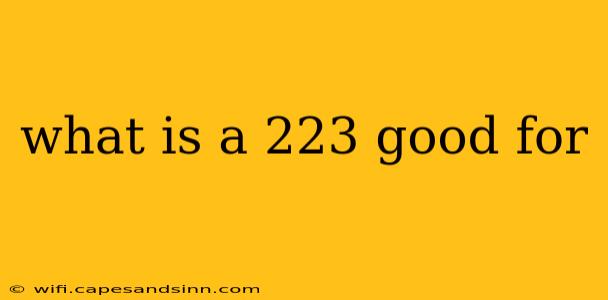 what is a 223 good for