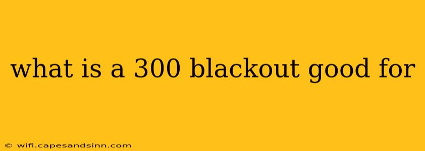 what is a 300 blackout good for