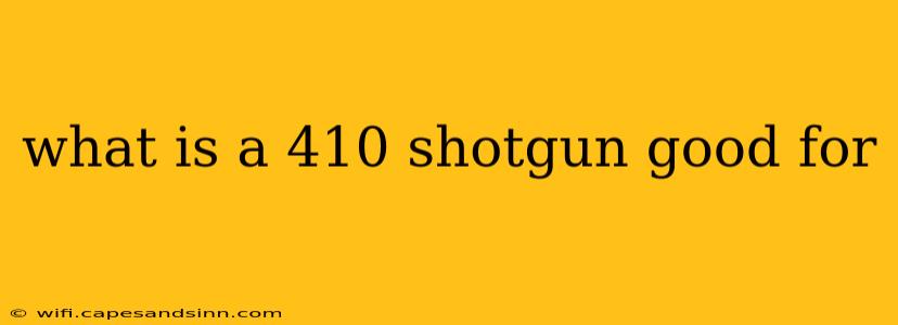 what is a 410 shotgun good for