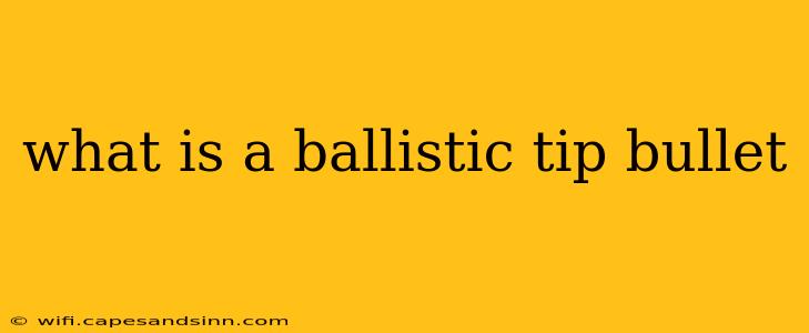 what is a ballistic tip bullet