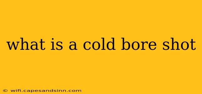 what is a cold bore shot