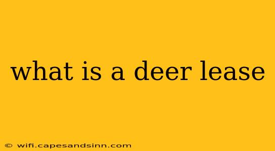 what is a deer lease