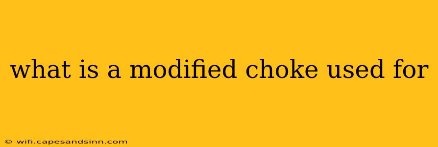 what is a modified choke used for