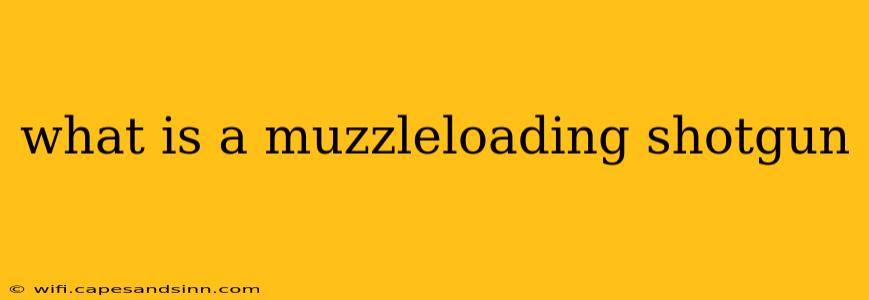 what is a muzzleloading shotgun