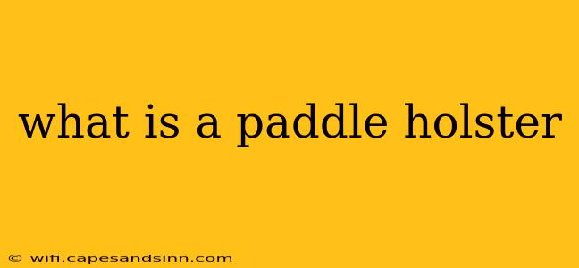 what is a paddle holster