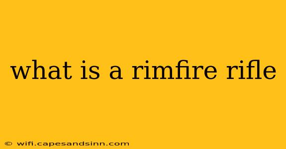 what is a rimfire rifle