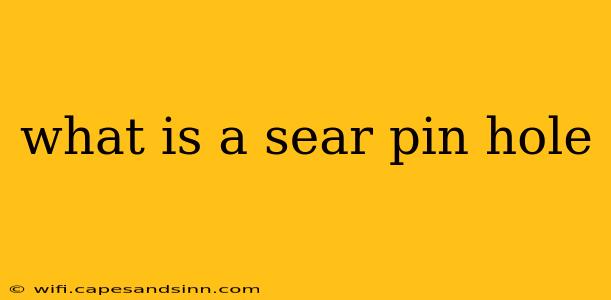 what is a sear pin hole