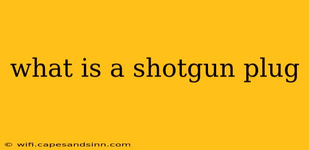 what is a shotgun plug