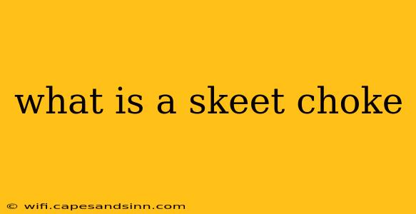 what is a skeet choke