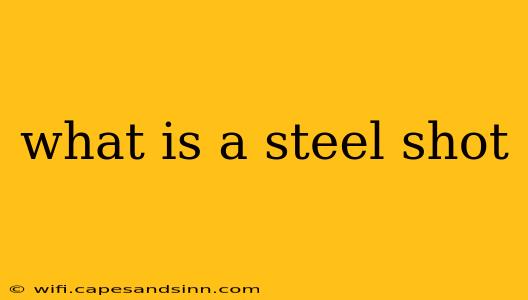 what is a steel shot