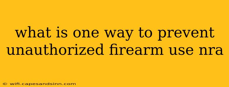 what is one way to prevent unauthorized firearm use nra