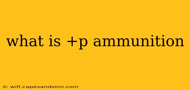 what is +p ammunition