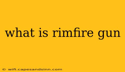 what is rimfire gun