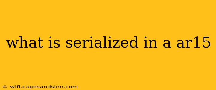 what is serialized in a ar15