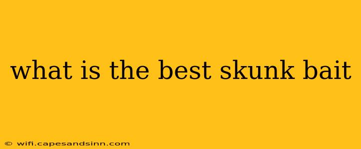 what is the best skunk bait