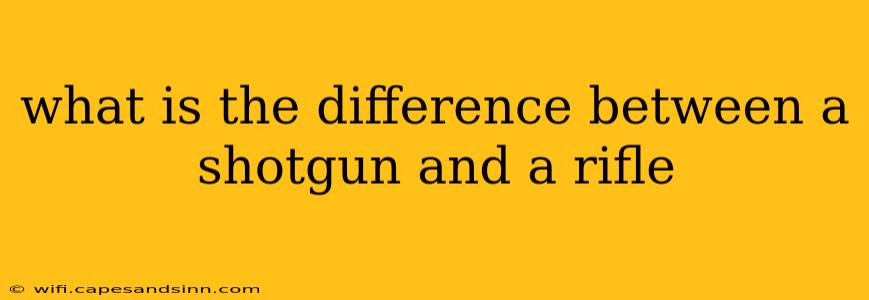 what is the difference between a shotgun and a rifle