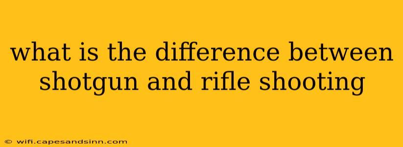 what is the difference between shotgun and rifle shooting