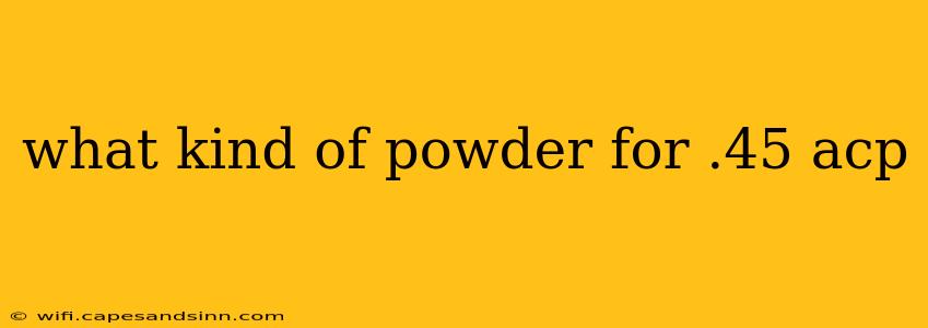 what kind of powder for .45 acp