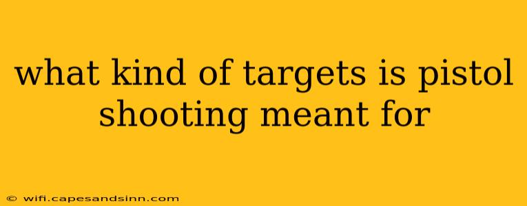 what kind of targets is pistol shooting meant for