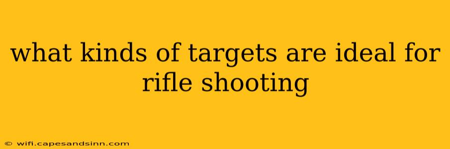 what kinds of targets are ideal for rifle shooting