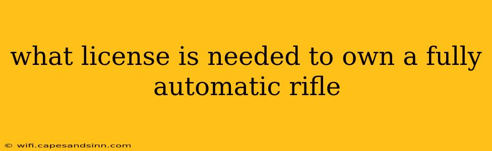 what license is needed to own a fully automatic rifle