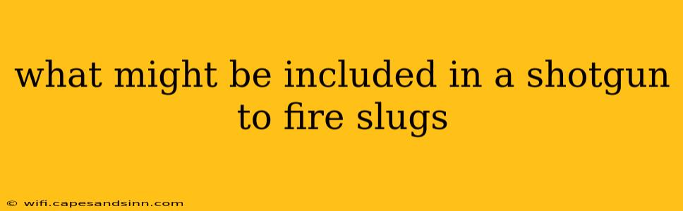 what might be included in a shotgun to fire slugs