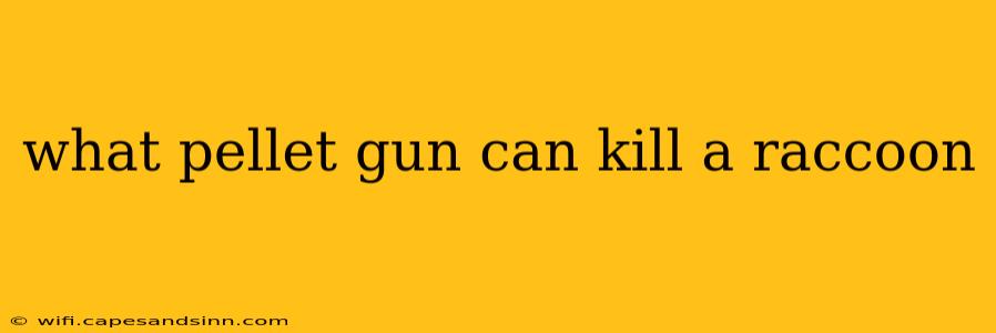 what pellet gun can kill a raccoon