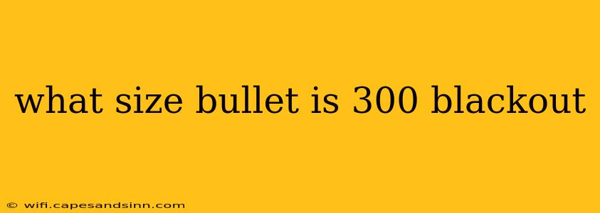 what size bullet is 300 blackout